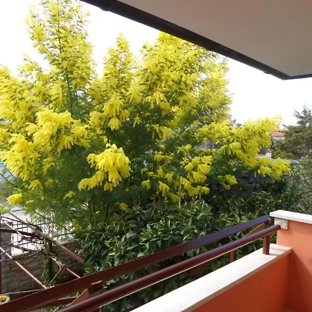 Apartman Apartments Villa Mavero *