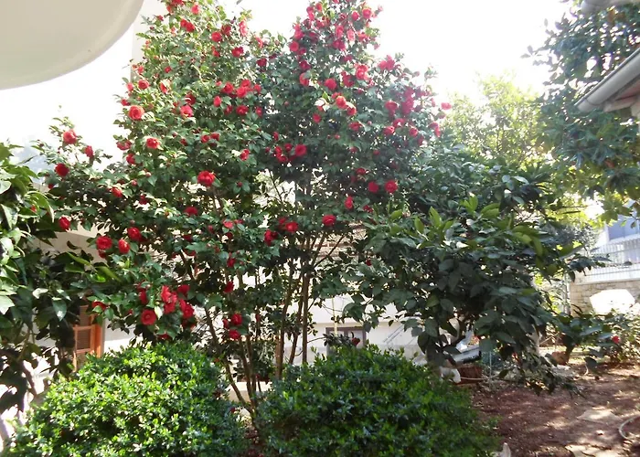 Apartments Villa Mavero *