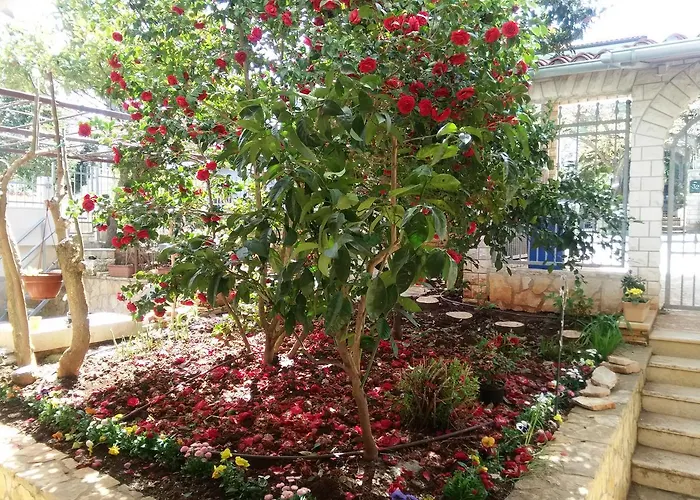 Apartments Villa Mavero Banjole