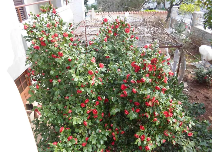 Apartman Apartments Villa Mavero