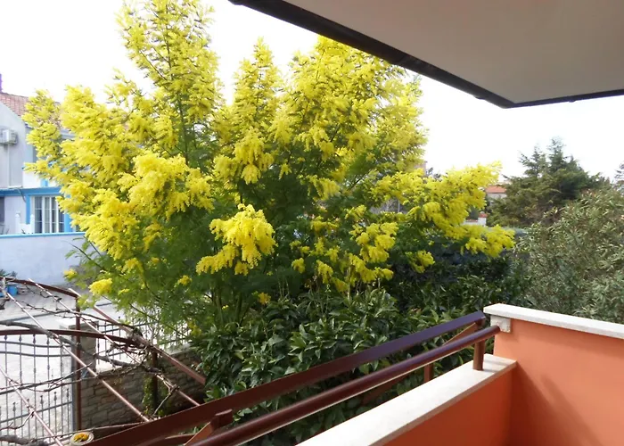 Apartman Apartments Villa Mavero *